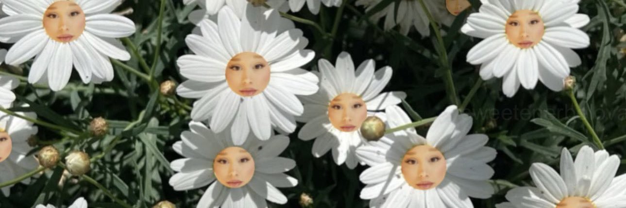 notzacho's profile banner image