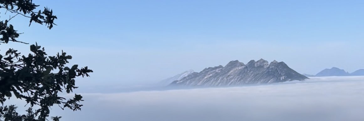 Astrid Florencia banner