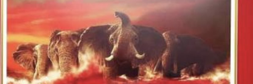 bamabuck73's profile banner image