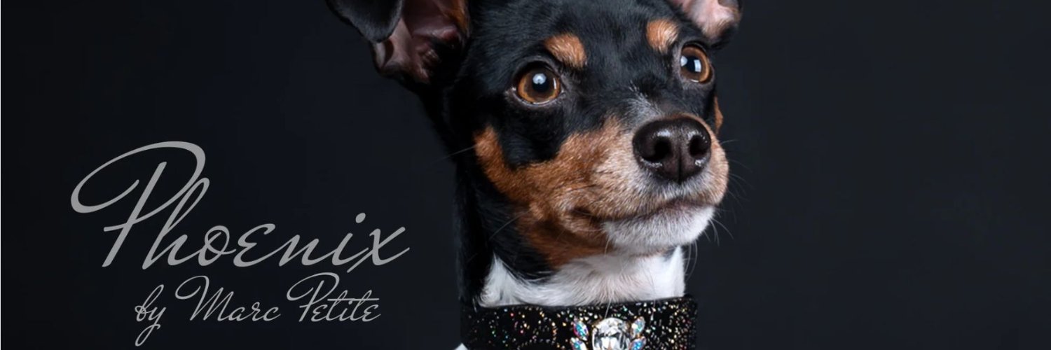 marcpetitestore's profile banner image