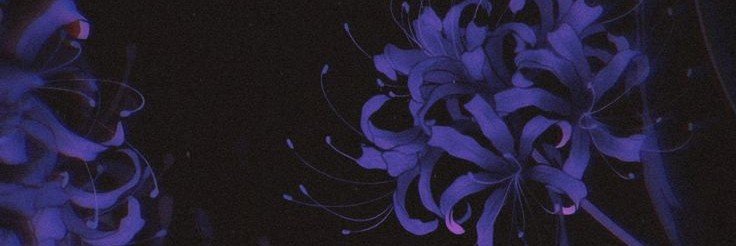 fourthlightout's profile banner image