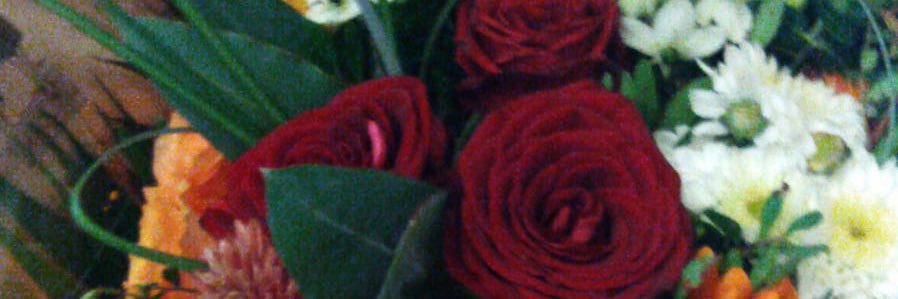 seree banner
