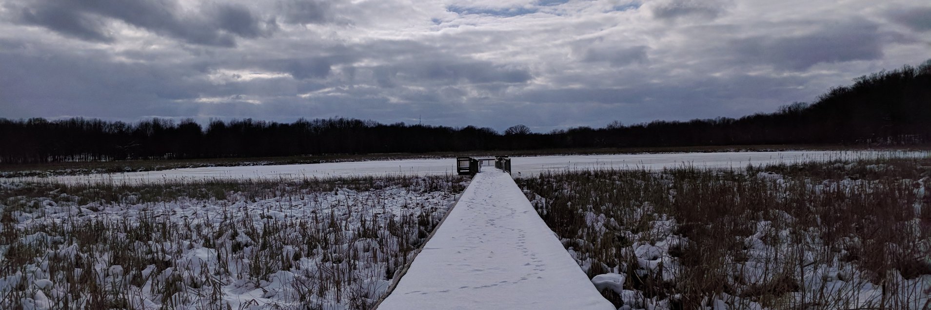 Kathryn Schumacher banner