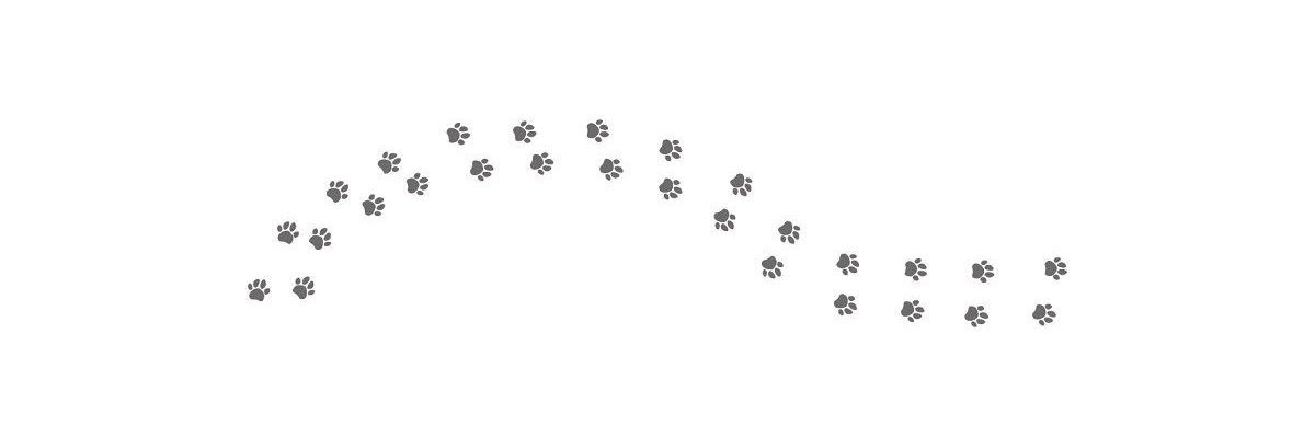 이소희 강아지 banner