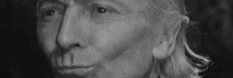 Martin banner