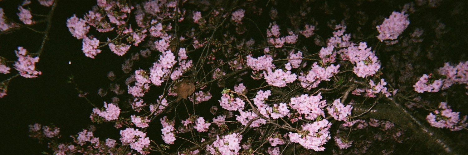 🦦 banner