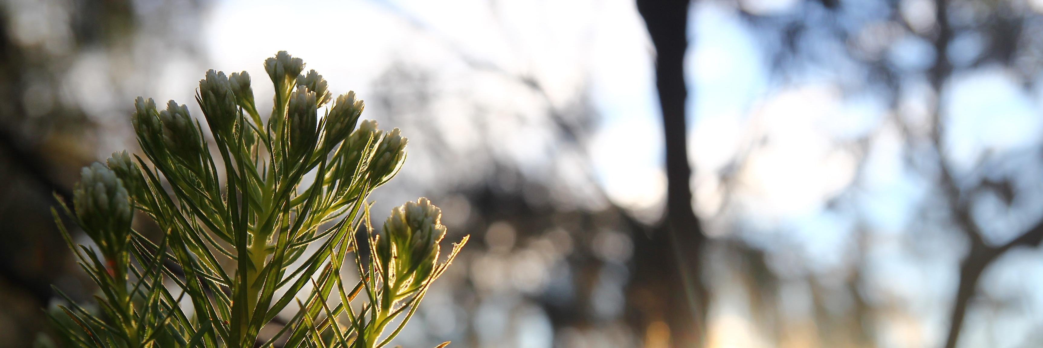 kodoxdinata's profile banner image