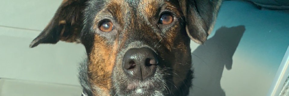 Cass_Cole67's profile banner image