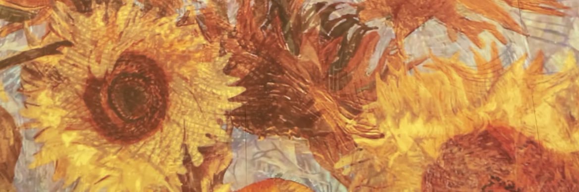 DivinaNYC's profile banner image