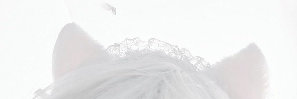 🐰 banner