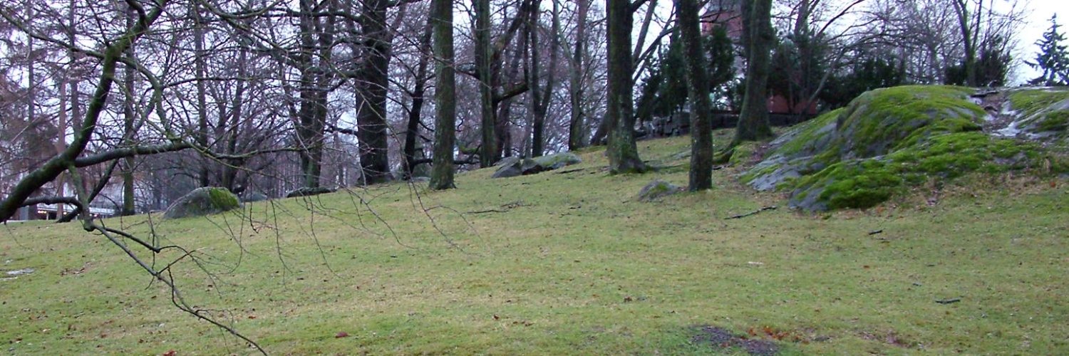 markoseppaenen's profile banner image