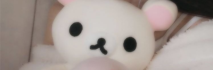 bugbaee's profile banner image