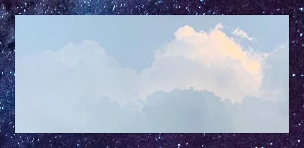 michelle banner