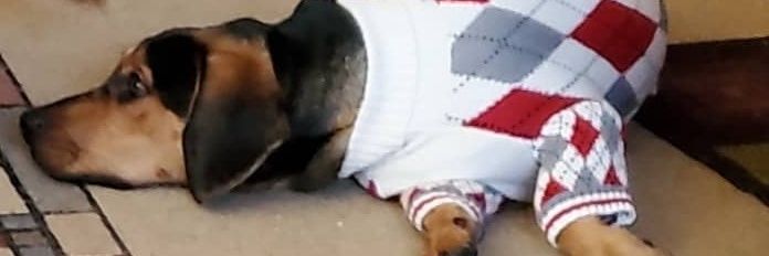 🇺🇸✝️ mr big z blackhawks enjoyer banner