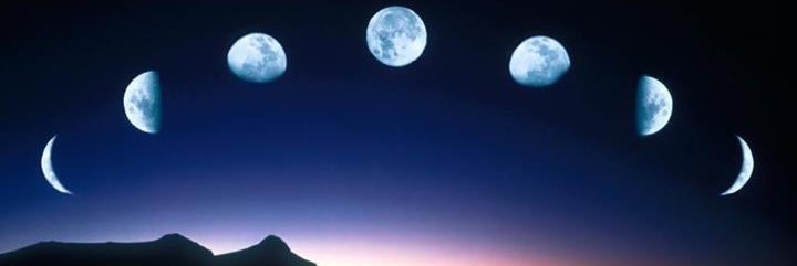 SciFantasyFan's profile banner image