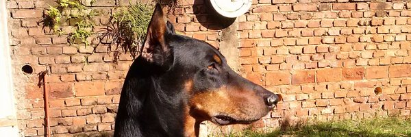 hamarga78 Profile Banner