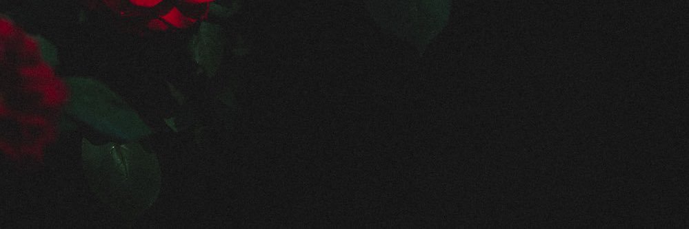 Deanokool's profile banner image