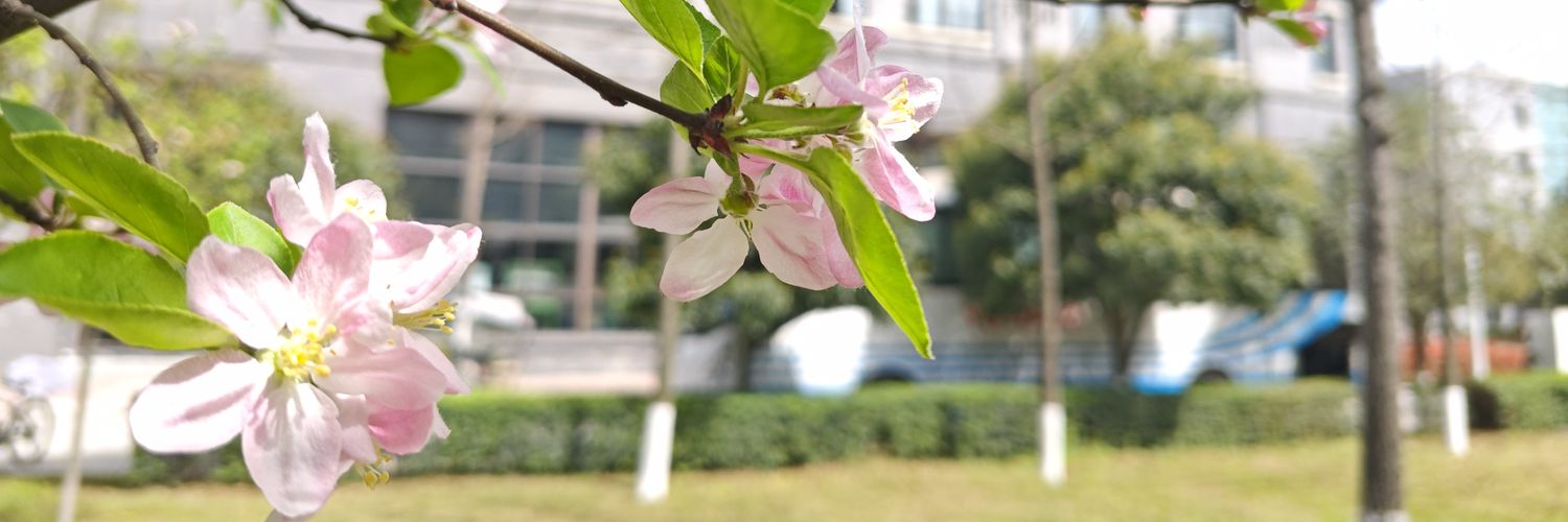 爱哭的火鸡面大王 banner