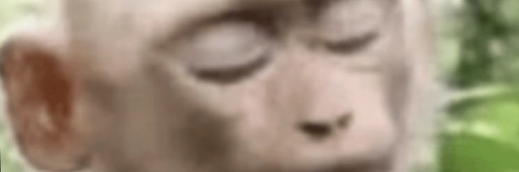 elsemideiapuser's profile banner image