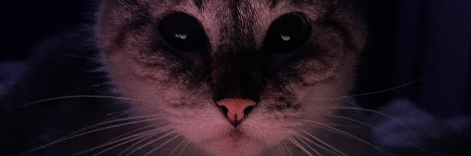 gregory_persona's profile banner image