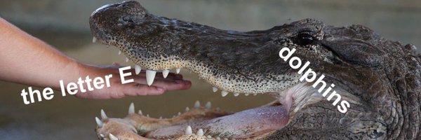 FireBeets Profile Banner