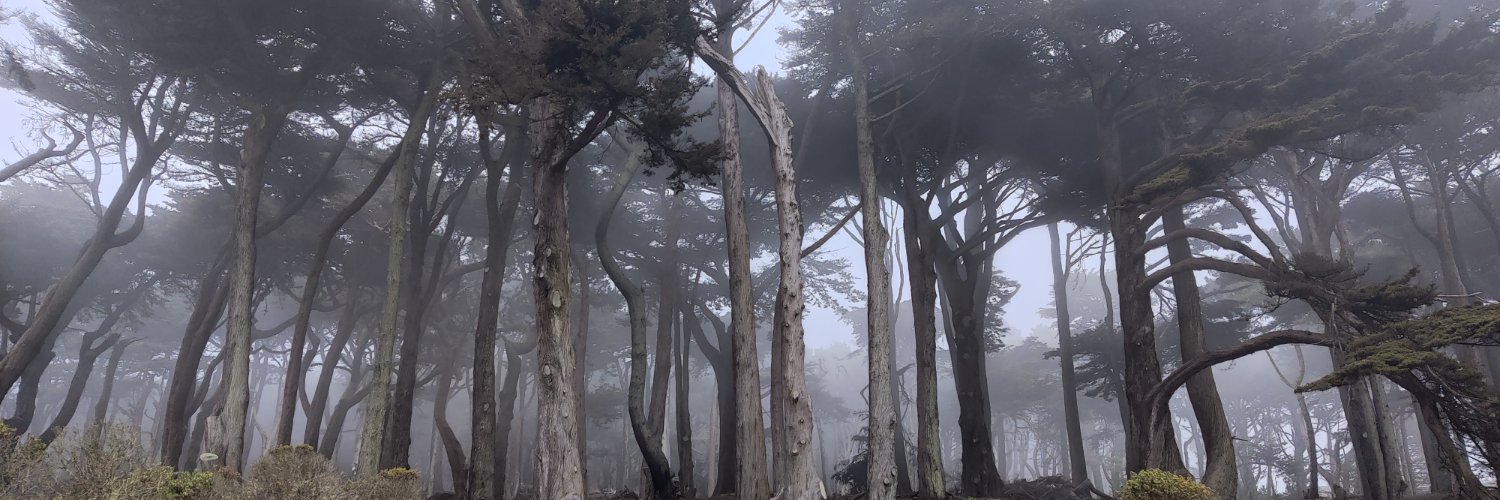 Mike 'Cryptomike21' G banner