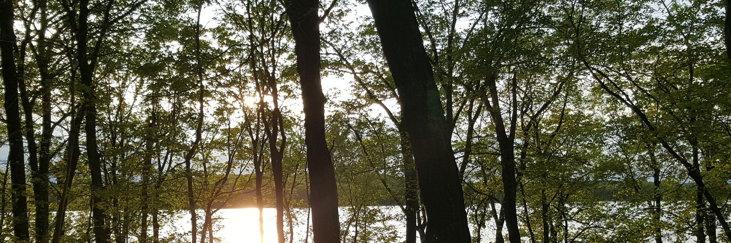 luranlee's profile banner image
