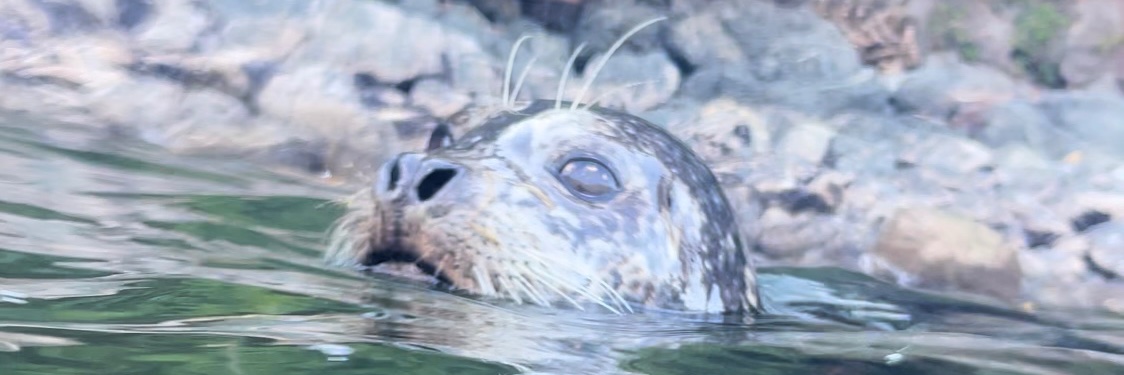 Justin Millard banner