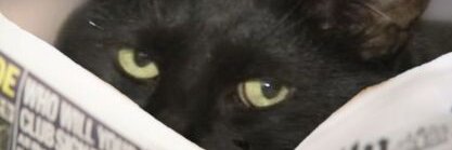 bahiaonly's profile banner image