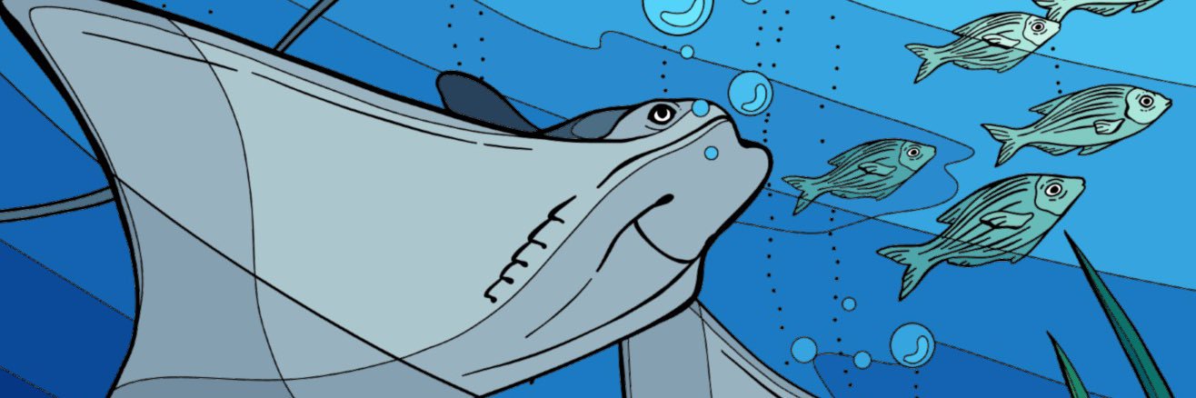 CownoseBaby's profile banner image