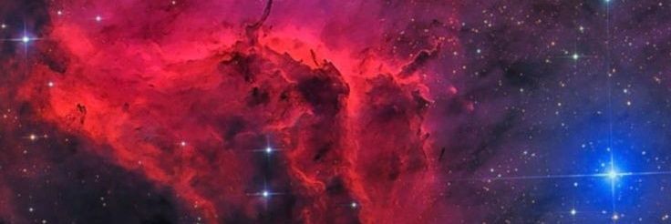 ᴺⁱᶜᵒˡˡᵉ☆~ banner
