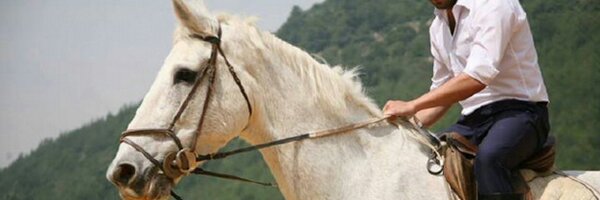 QaysSheikh Profile Banner