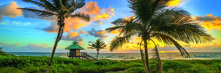 Boca Raton Magazine banner