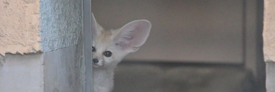 jeong_pic's profile banner image