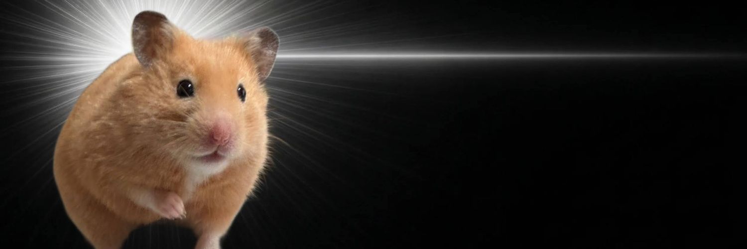 ハムち🐹 banner