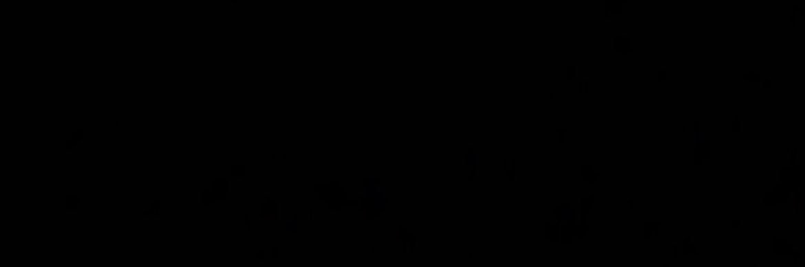 Sinatra banner