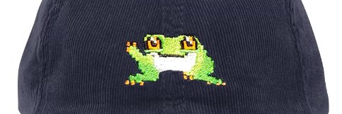 LIL froggo banner