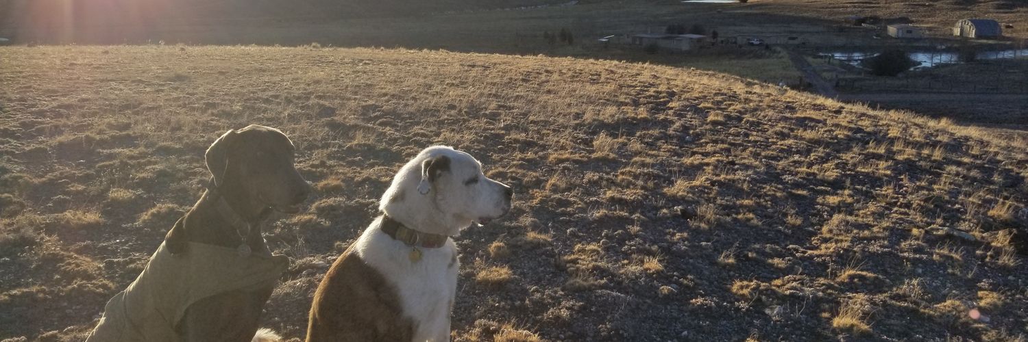 ColoradoMace's profile banner image