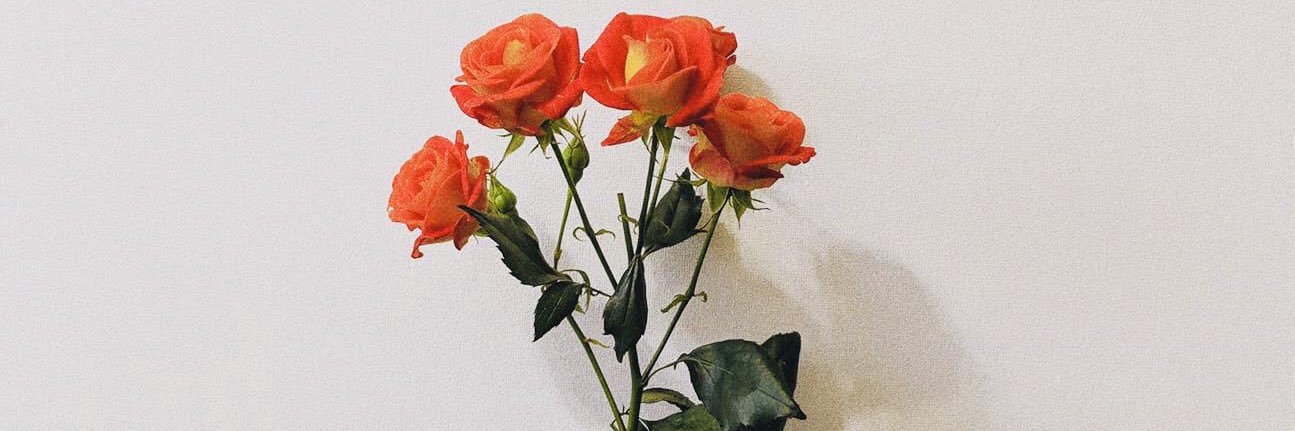 MikkyPapi's profile banner image