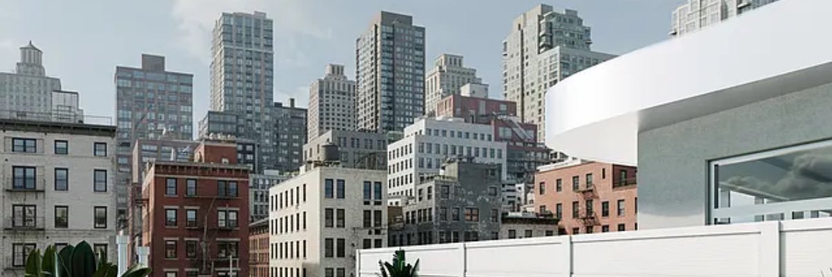 ladyfinancebro's profile banner image