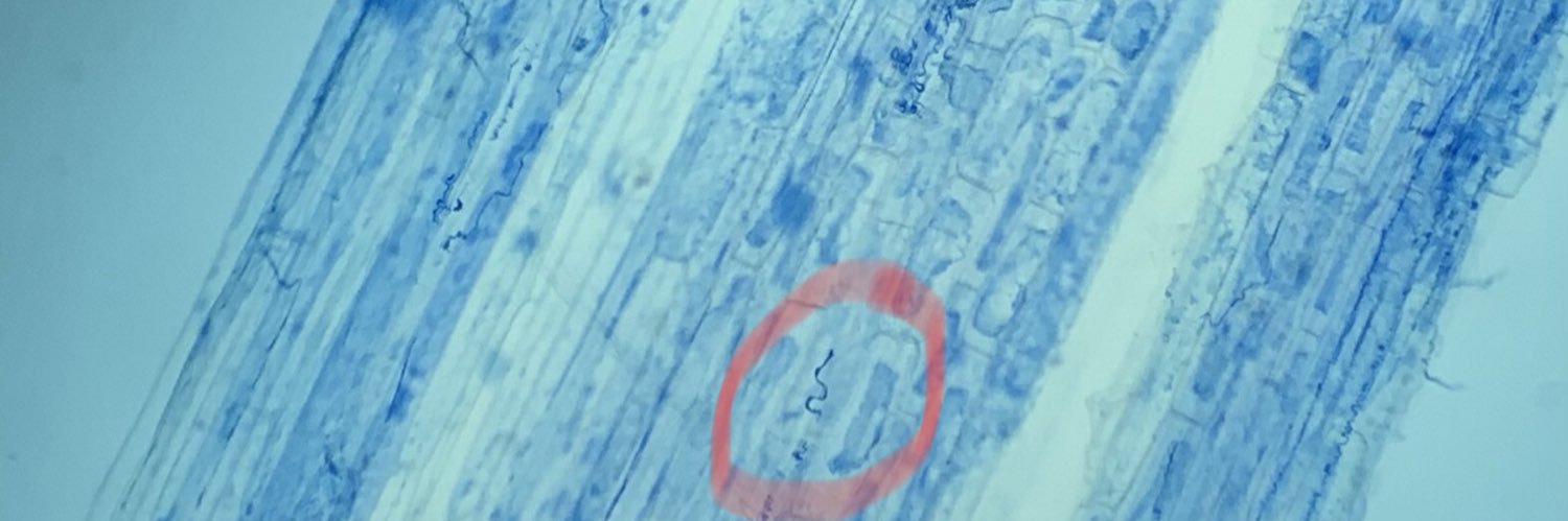 MBVera713's profile banner image