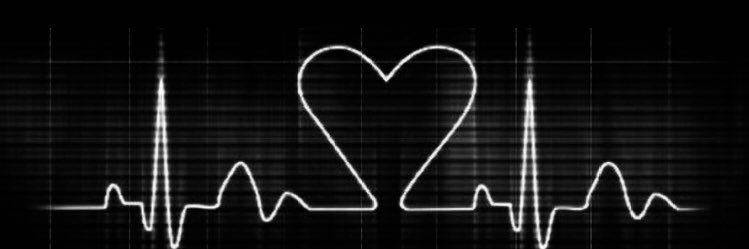 Haley Bergstrom banner