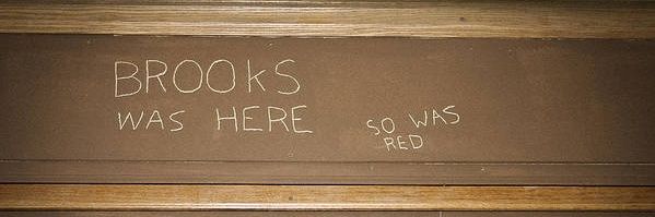 Love Monkey♻️ banner