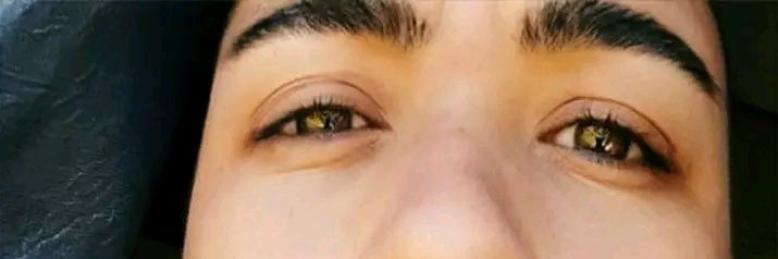 Johan Matthee banner