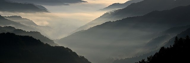 JarnChart Man banner