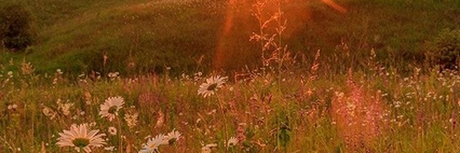 soccrkid's profile banner image