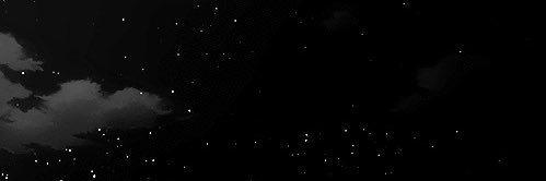 FijiMorgpie's profile banner image