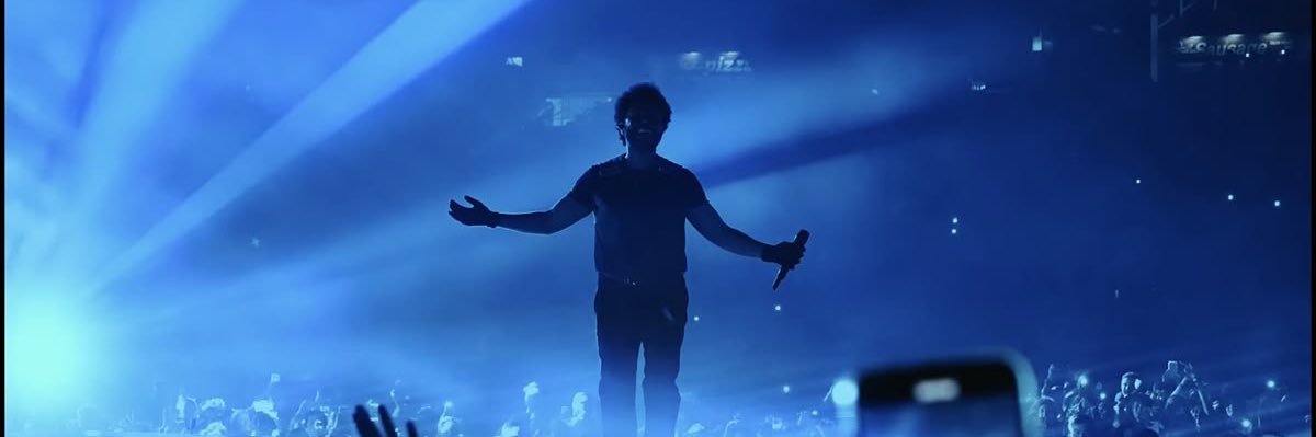 The Fool ﾒ𝟶 banner