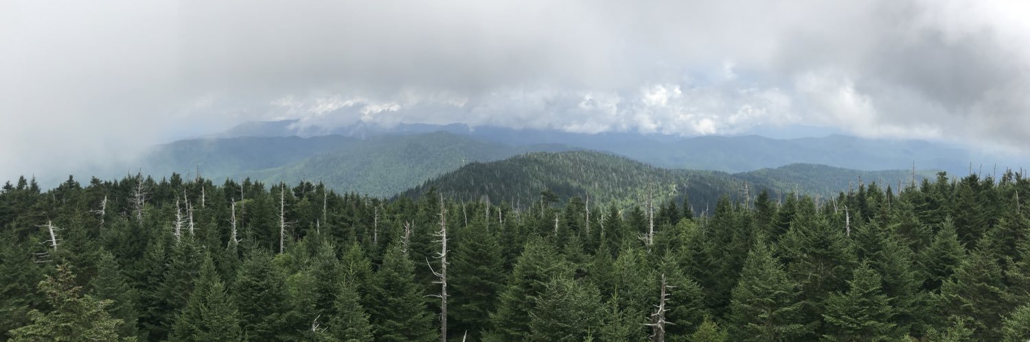 danieldiener20's profile banner image