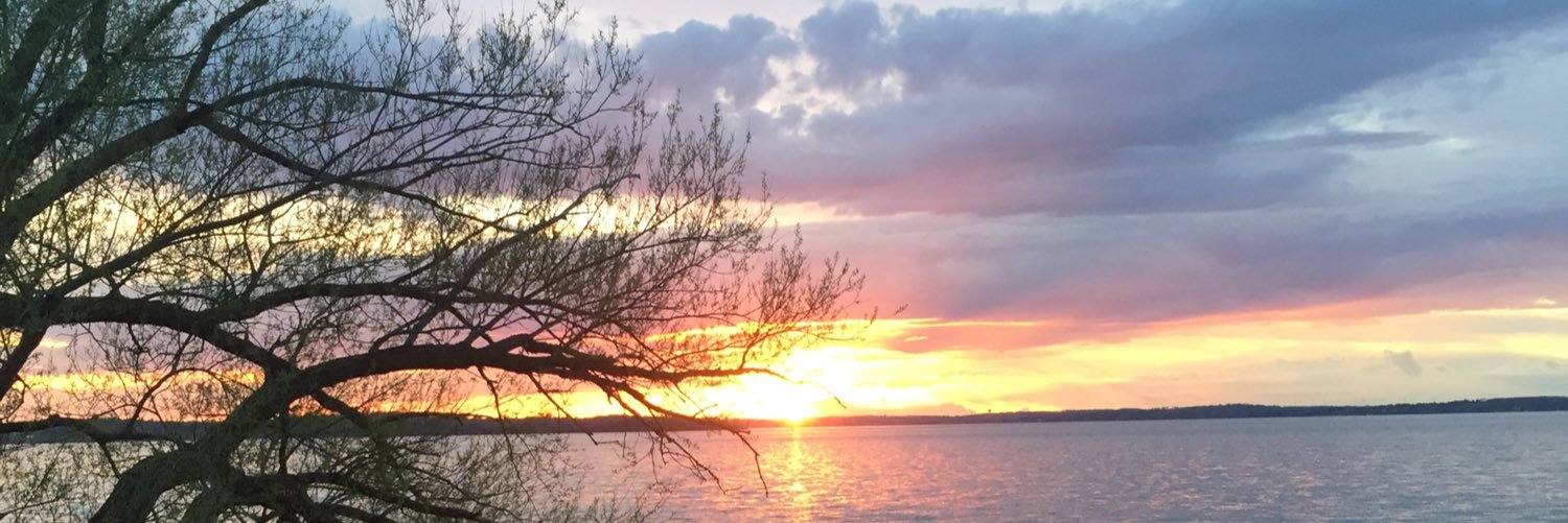kyliesheaa's profile banner image